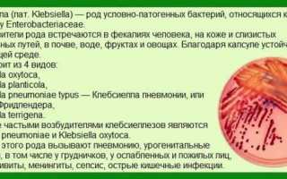 Чем лечить клебсиеллу пневмония у беременных