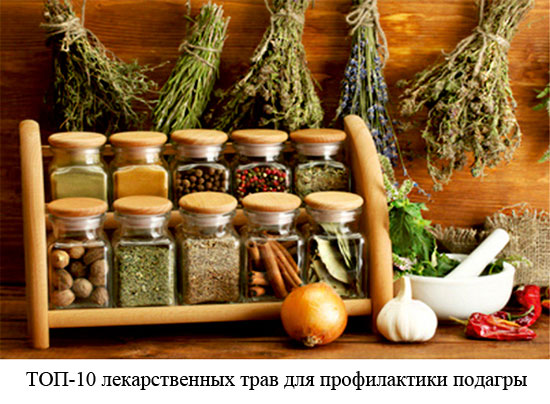 травы для лечения подагры