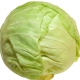 kapusta