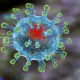 koronovirus1