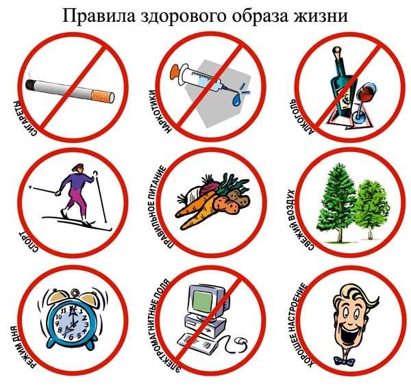 Правила здорового образа жизни