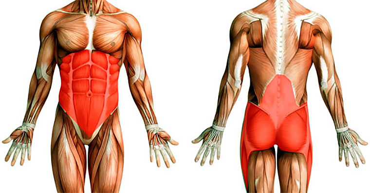 07-No-Back-Problems-Sport