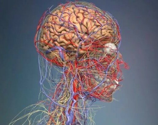 Что делать если очень болит голова во время беременности