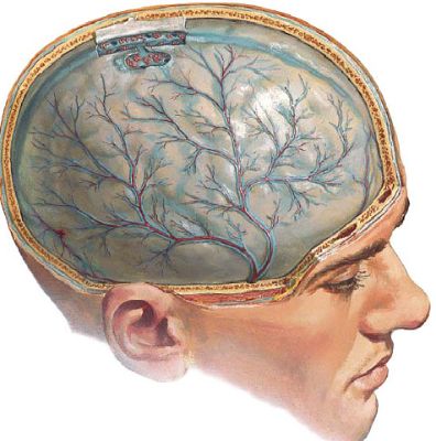 если болит спина и повышена температура