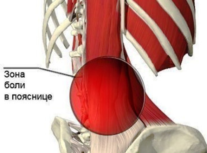 Если на второй неделе беременности болит спина