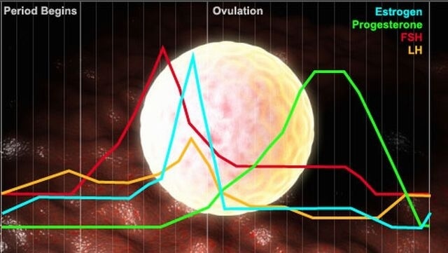 Боль в области таза: 18 возможных причин Боль в области таза: 18 возможных причин