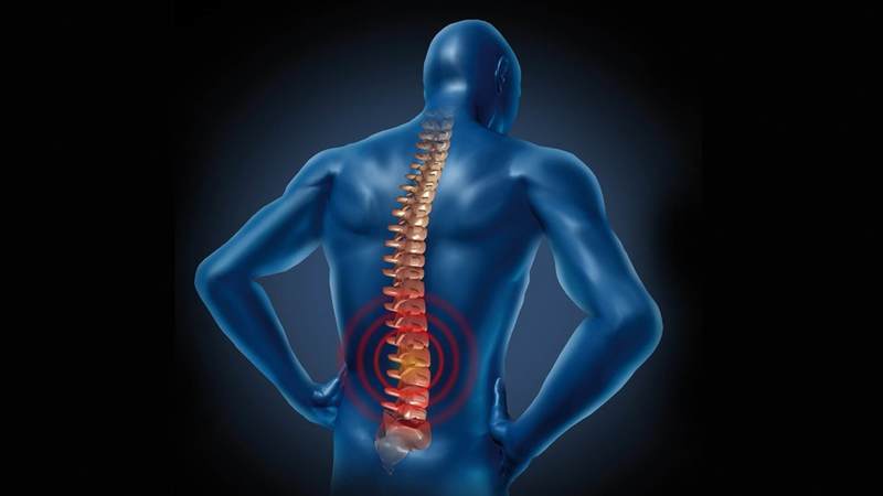 ЗДОРОВЫЙ ПОЗВОНОЧНИК: 14 предписаний «школы спины» ЗДОРОВЫЙ ПОЗВОНОЧНИК: 14 предписаний «школы спины»