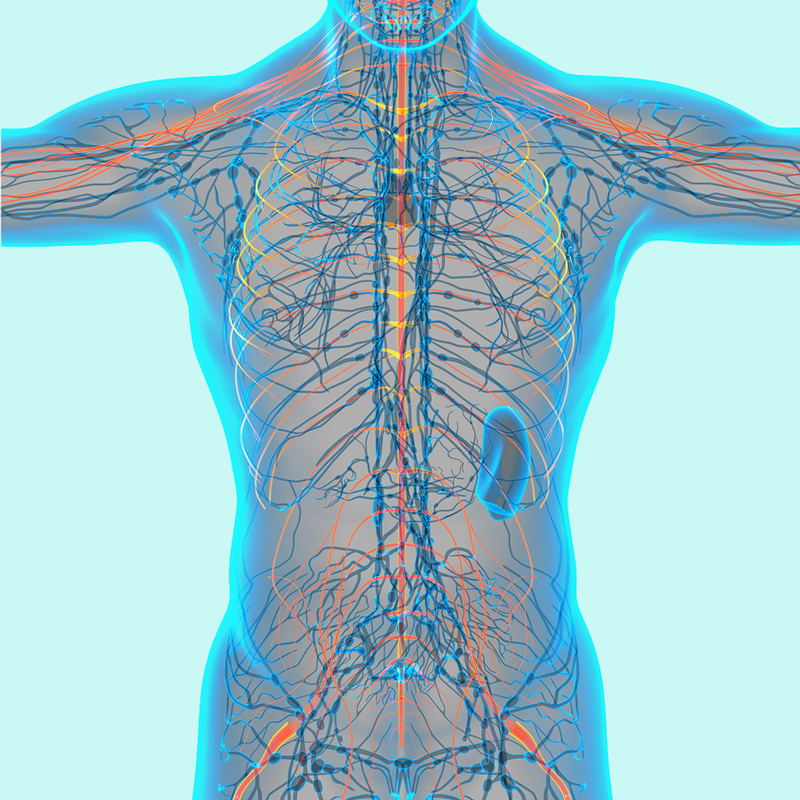 Как отличить БОЛЬ в почках от боли в спине Как отличить БОЛЬ в почках от боли в спине